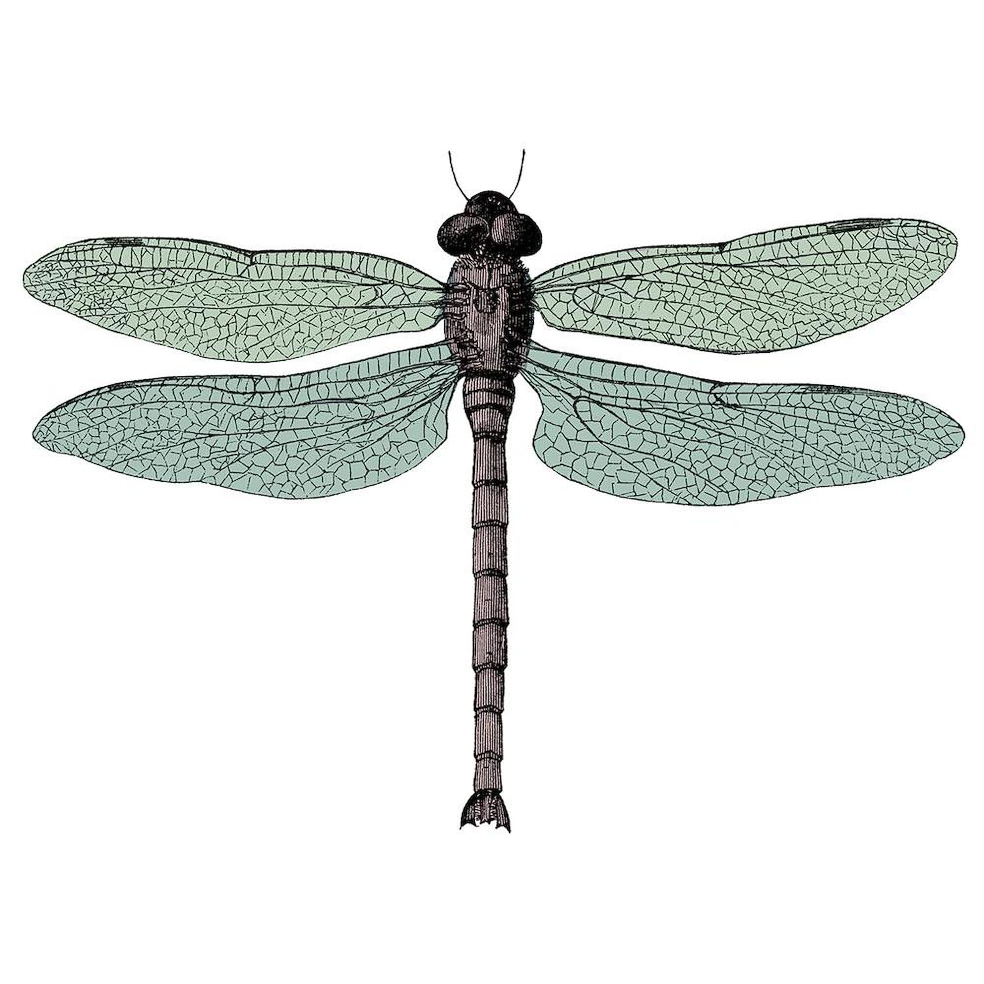 Dragonfly Large Ceramic Coffee Mug 15 oz (444 ml) - Perfect for Home, Office & Gifts | CafePress