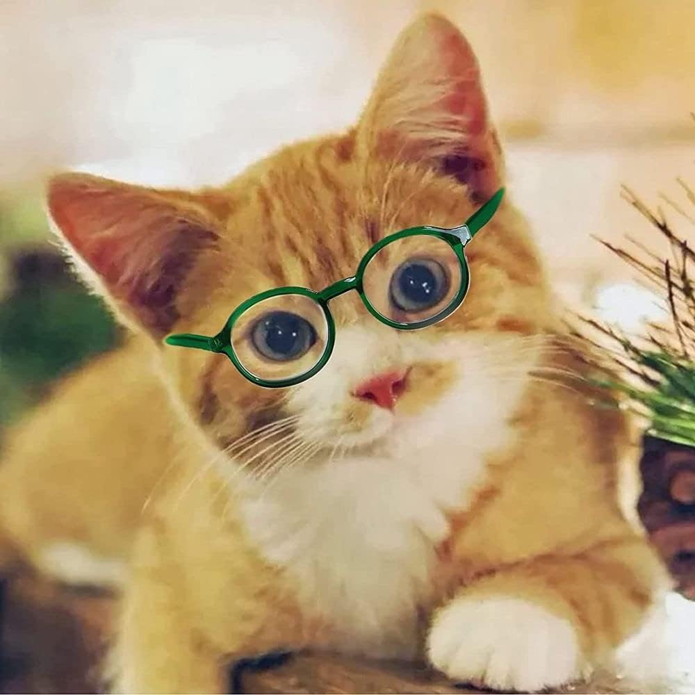 Cute Pet Sunglasses for Dogs & Cats - Clear Lens Retro Style for Cosplay & Photos