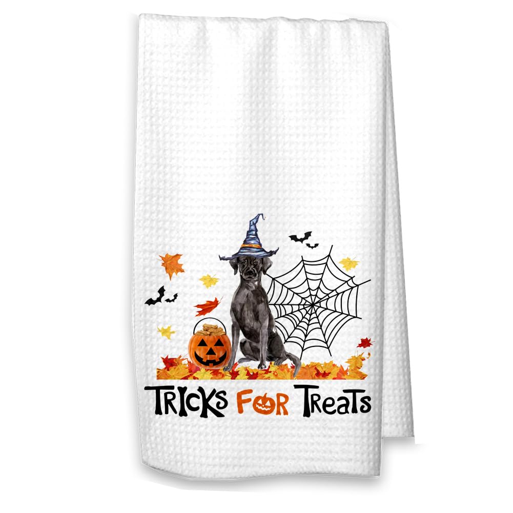Black Labrador Retriever Halloween Kitchen Waffle Towel - Cute Black Lab Fall Decor with Waffle Weave - Perfect for Halloween Kitchen Decor, Thanksgiving Table Setting & Dog Lover Gifts