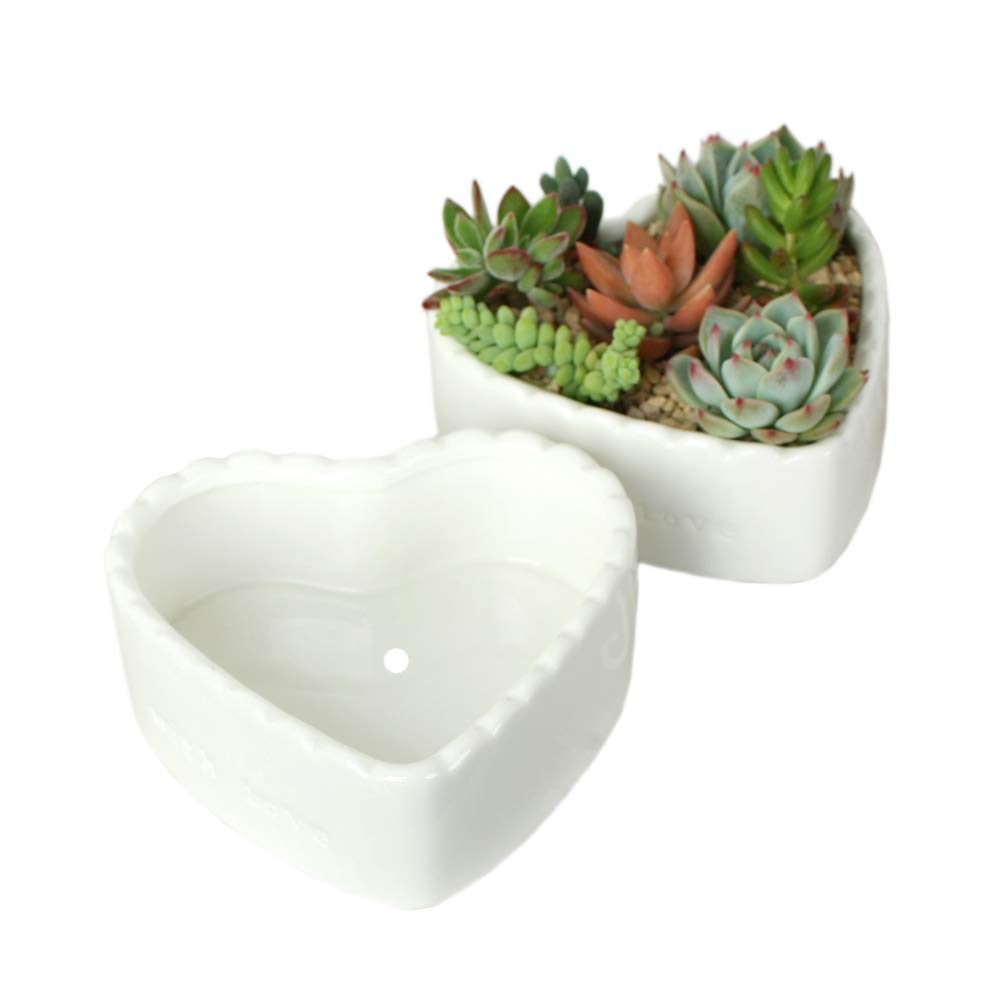 2 Pack Heart-Shaped White Ceramic Succulent Plant Pots - Small Cactus Flower Pots for Home Decor, Office Desk, Wedding Centerpieces & Gift Ideas