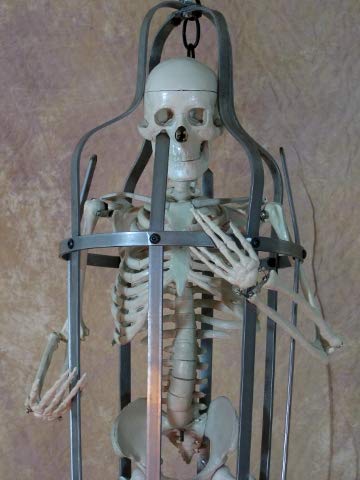 33