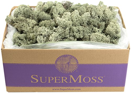 Moss Green