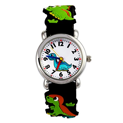 Dinosaur-Black-Steel Shell
