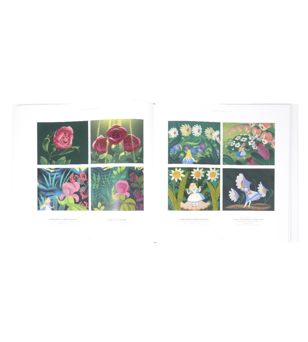 Alice in Wonderland by Pierre Lambert - Classic Fairy Tale Book for Kids & Adults - Perfect for Reading, Gifts & Collectibles
