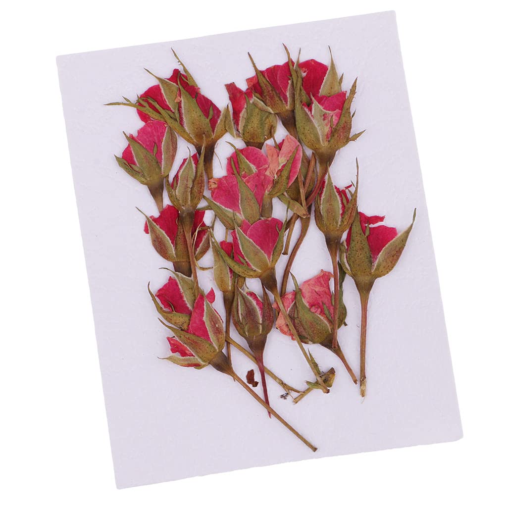 Milageto 20pcs Natural Dried Rose Petals for Wedding Decor, DIY Crafts, Home Decoration, Gift Wrapping & Aromatherapy - Premium Floral Embellishments