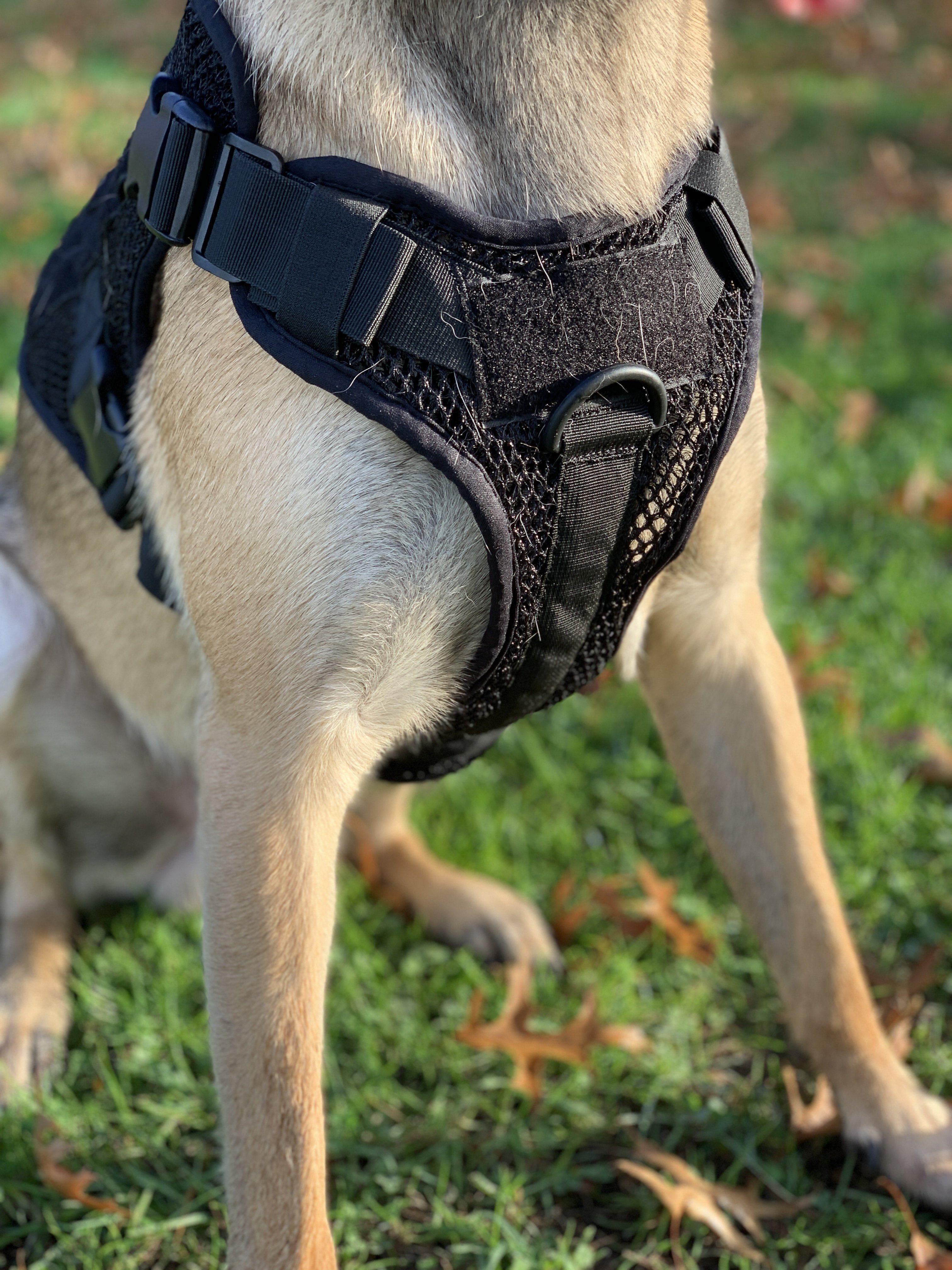 Artemis No Pull Dog Harness - Adjustable, Breathable, No Tug No Choke Pet Vest for Small Medium Large Dogs - Perfect for Walking, Running, Hiking & Outdoor Adventures