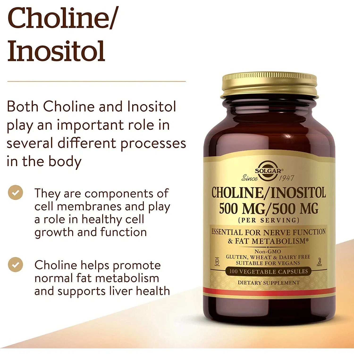 Solgar Choline & Inositol 500mg Supplement - Supports Brain Health, Liver Function & Metabolism - Perfect for Cognitive Support & Stress Relief