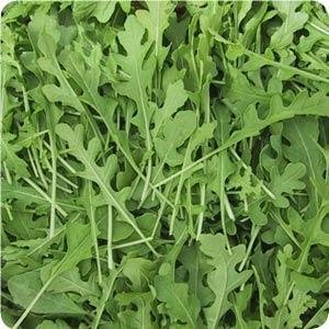 Bulk Organic Arugula Seeds (5 Lbs) - Non-GMO, Heirloom, Fast-Growing for Home Garden, Salad Greens & Microgreens - Perfect for Indoor Hydroponics, Outdoor Planting & Healthy Eating