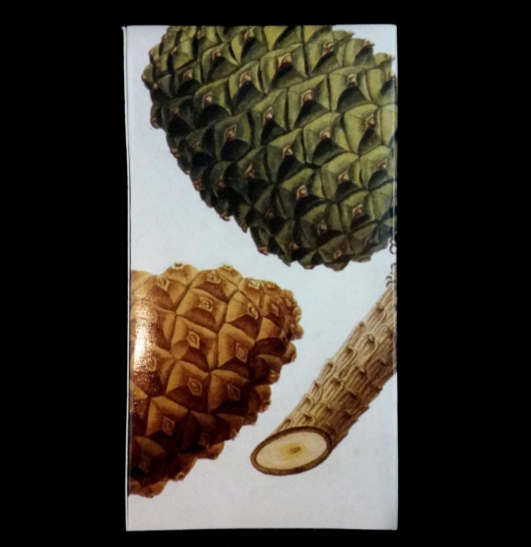 Natural Pine Cone Fire Starters - Waterproof & Long-Lasting Fireplace Matches for Camping, Hiking & Outdoor Adventures