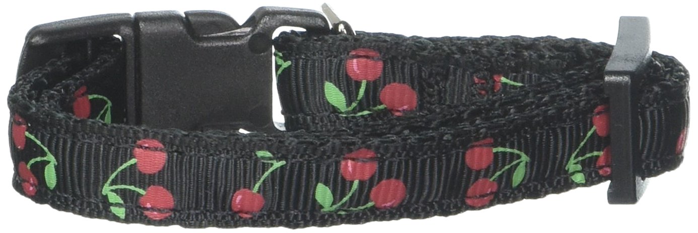Premium Nylon Dog & Cat Collar or Leash - 