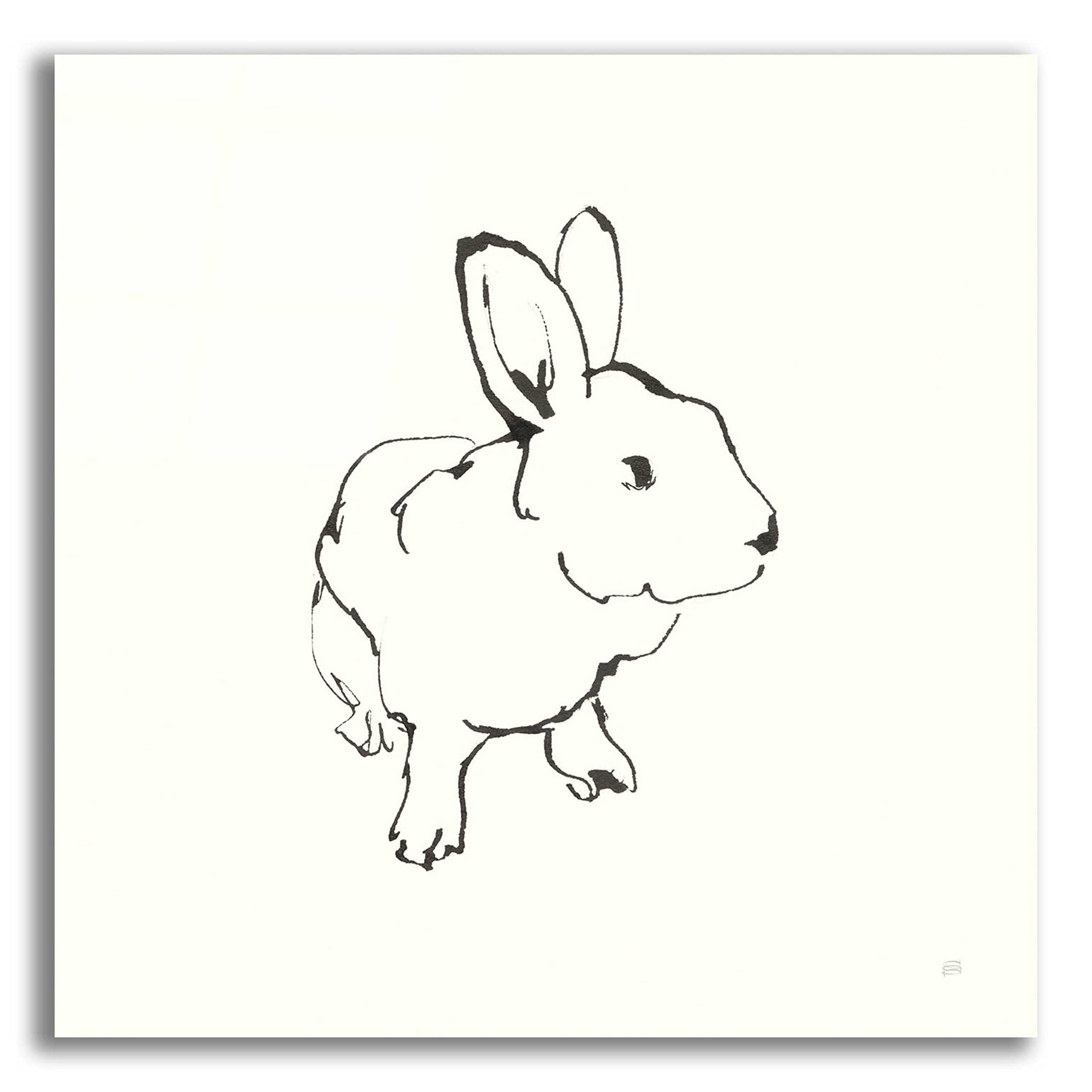 Chris Paschke 'Line Bunny II' Acrylic Glass Wall Art - 36x36 Inch Modern Abstract Painting for Living Room, Bedroom & Office Decor