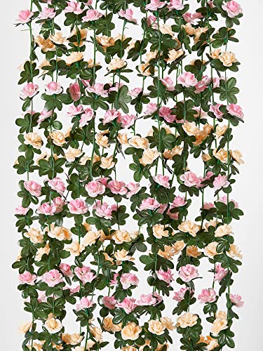5pc-pink-gold Champagne