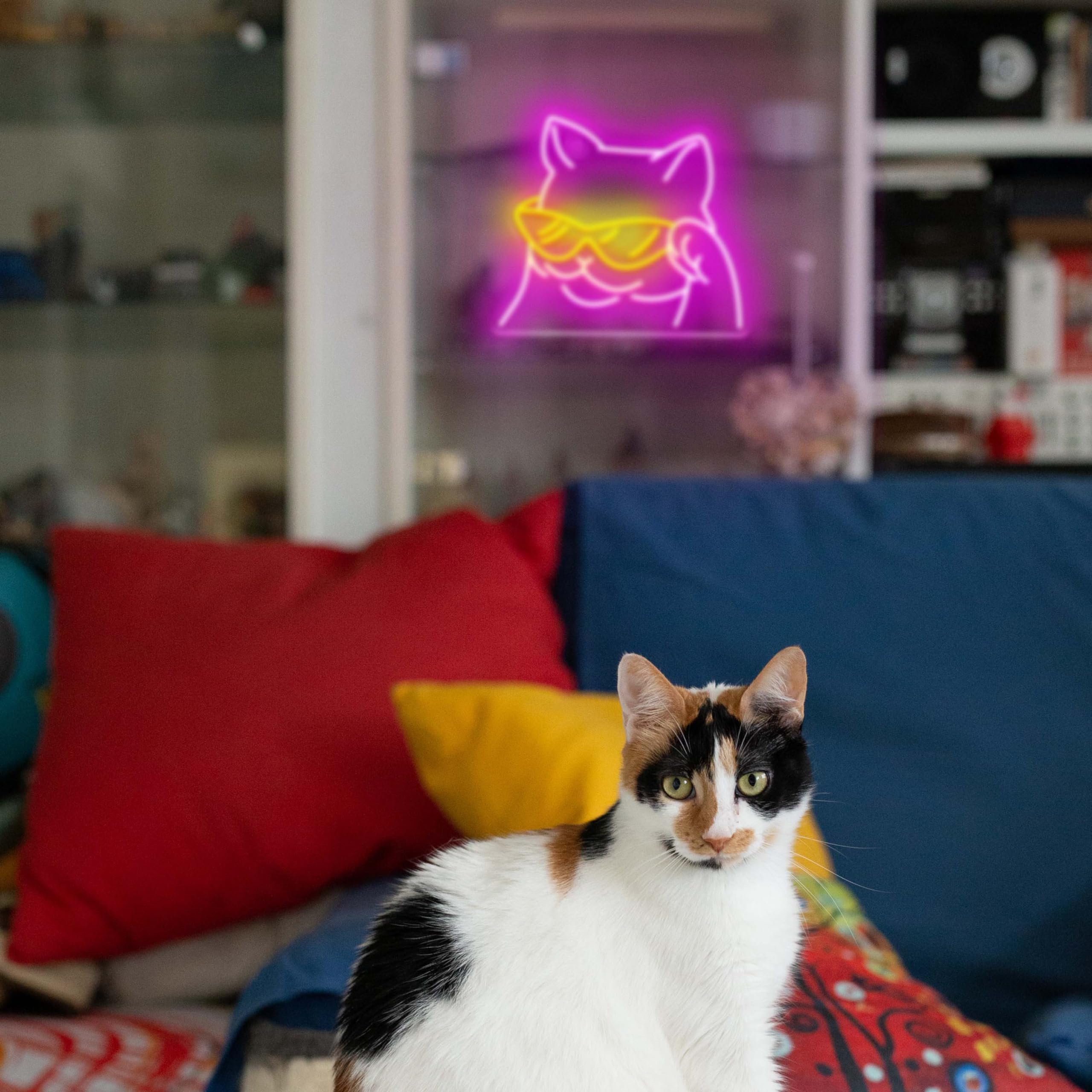 Cool Cat Neon Sign - Smiling Cat with Glasses LED Wall Light, USB Powered Dimmable Decor for Bedroom, Bar & Game Room - Perfect Cat Lover Gift & Unique Home Decor