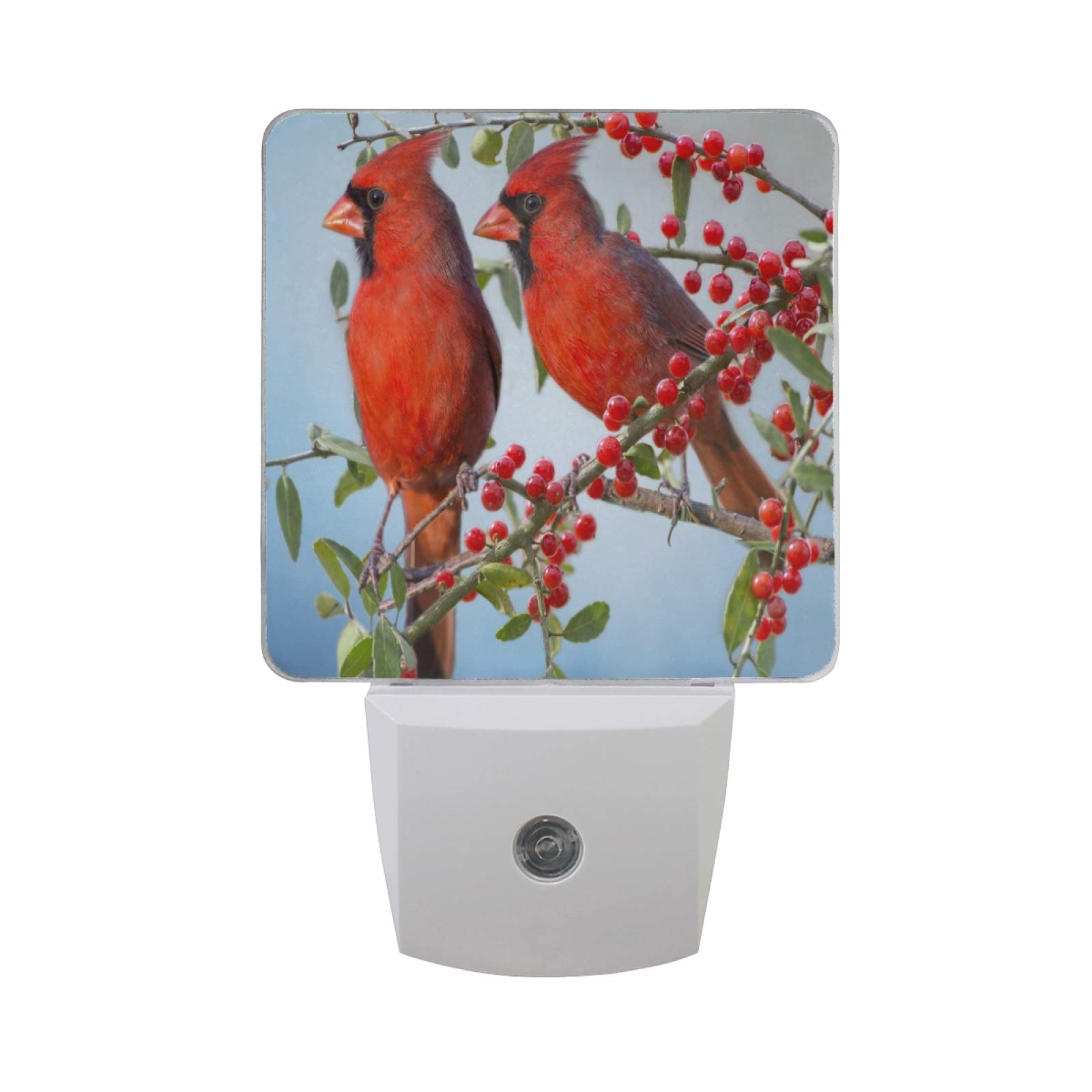 Vikko 2 Pack LED Night Light with Dusk to Dawn Sensor - Winter Red Cardinals Birds Plug-in Nightlight for Bedroom, Living Room, Hallway | Energy Efficient Kids & Adults Night Lamp for Home Decor, Nursery, Bathroom Safety Lighting