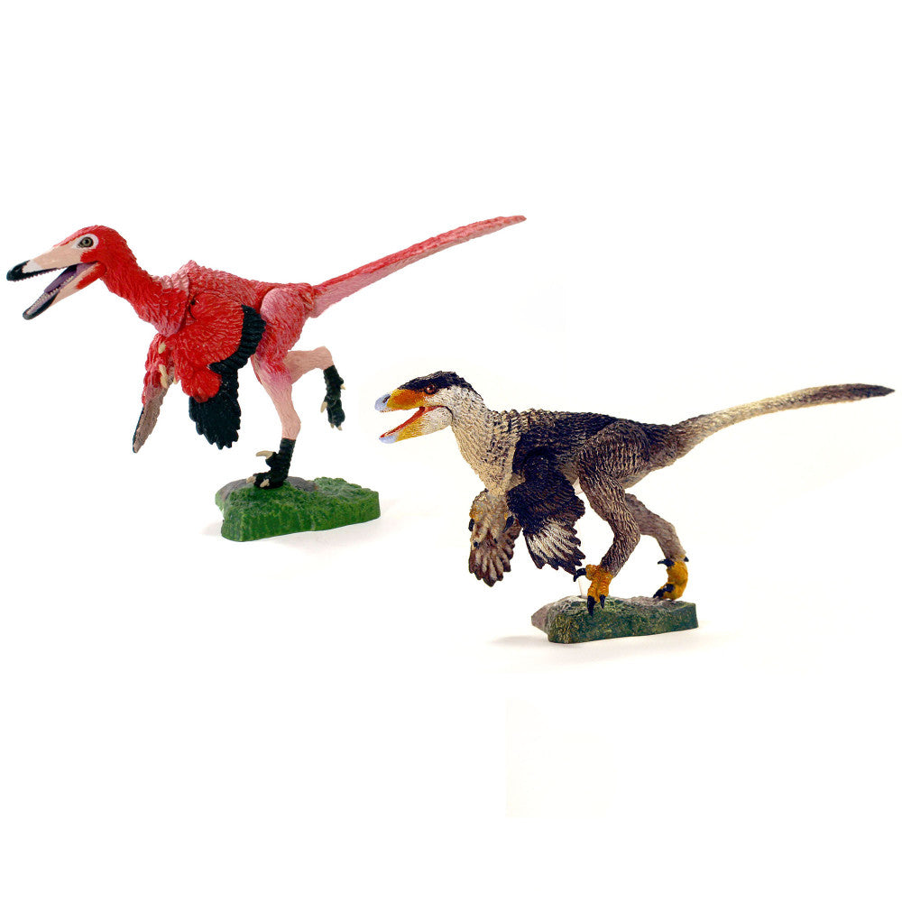 Beasts of the Mesozoic: 6 Western Dinosaur Raptor Duo Action Figures - Realistic Prehistoric Dinosaur Toys for Kids & Collectors - Perfect for Play, Display & Educational Scenes