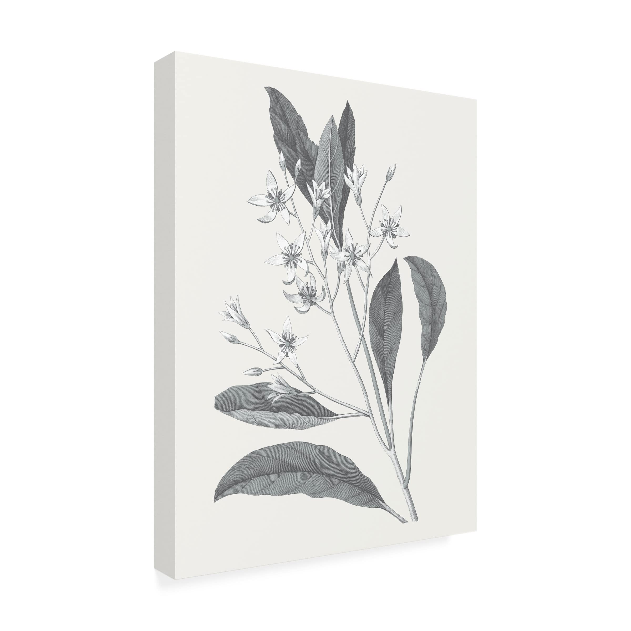 Trademark Fine Art 'Neutral Botanical V' Canvas Wall Art Print by Wild Apple - Modern Floral Decor for Living Room, Bedroom & Office