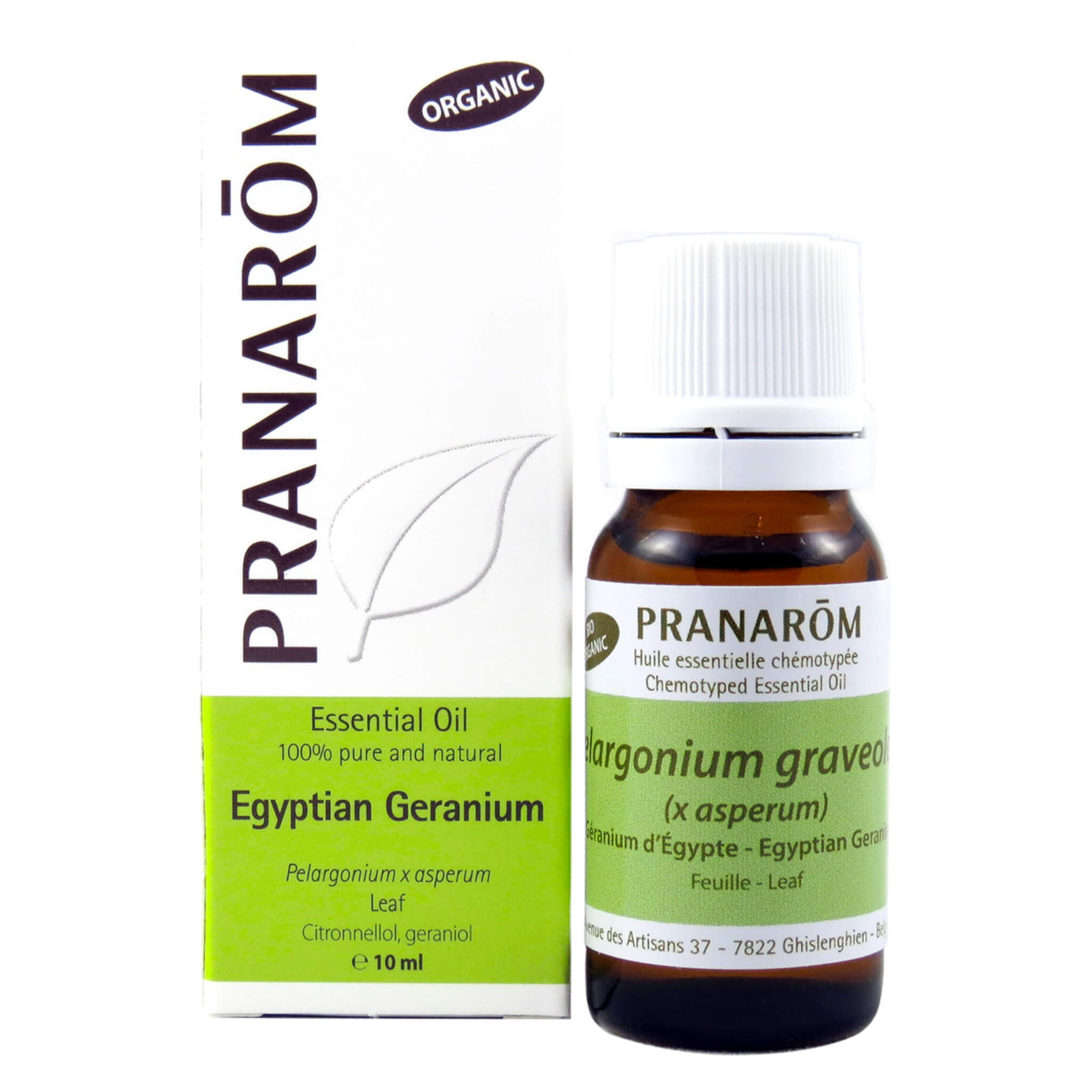 Pure Egyptian Geranium Essential Oil for Aromatherapy, Skincare & Relaxation – Perfect for Diffusers, Massage & DIY Beauty