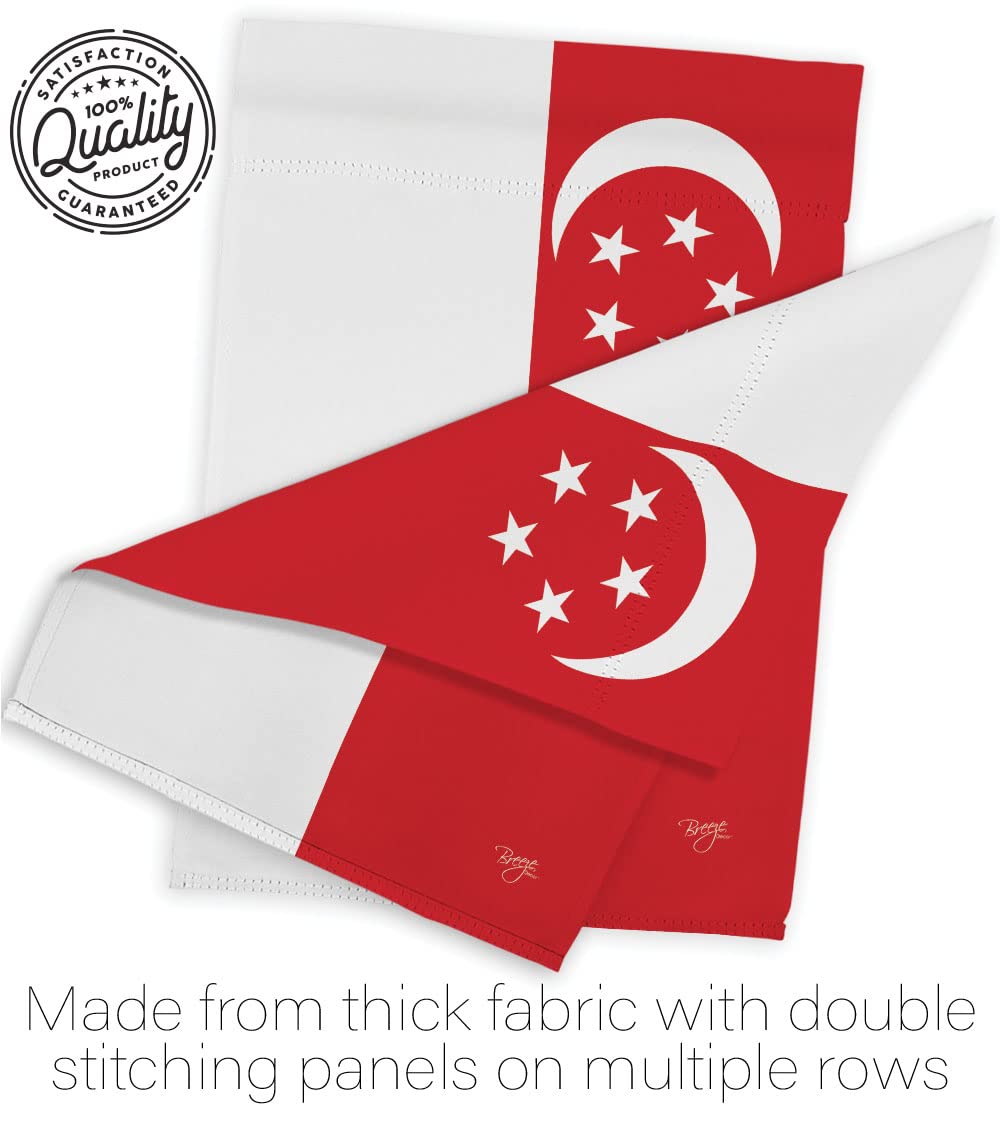 Singapore Nationality House Flag Set 28