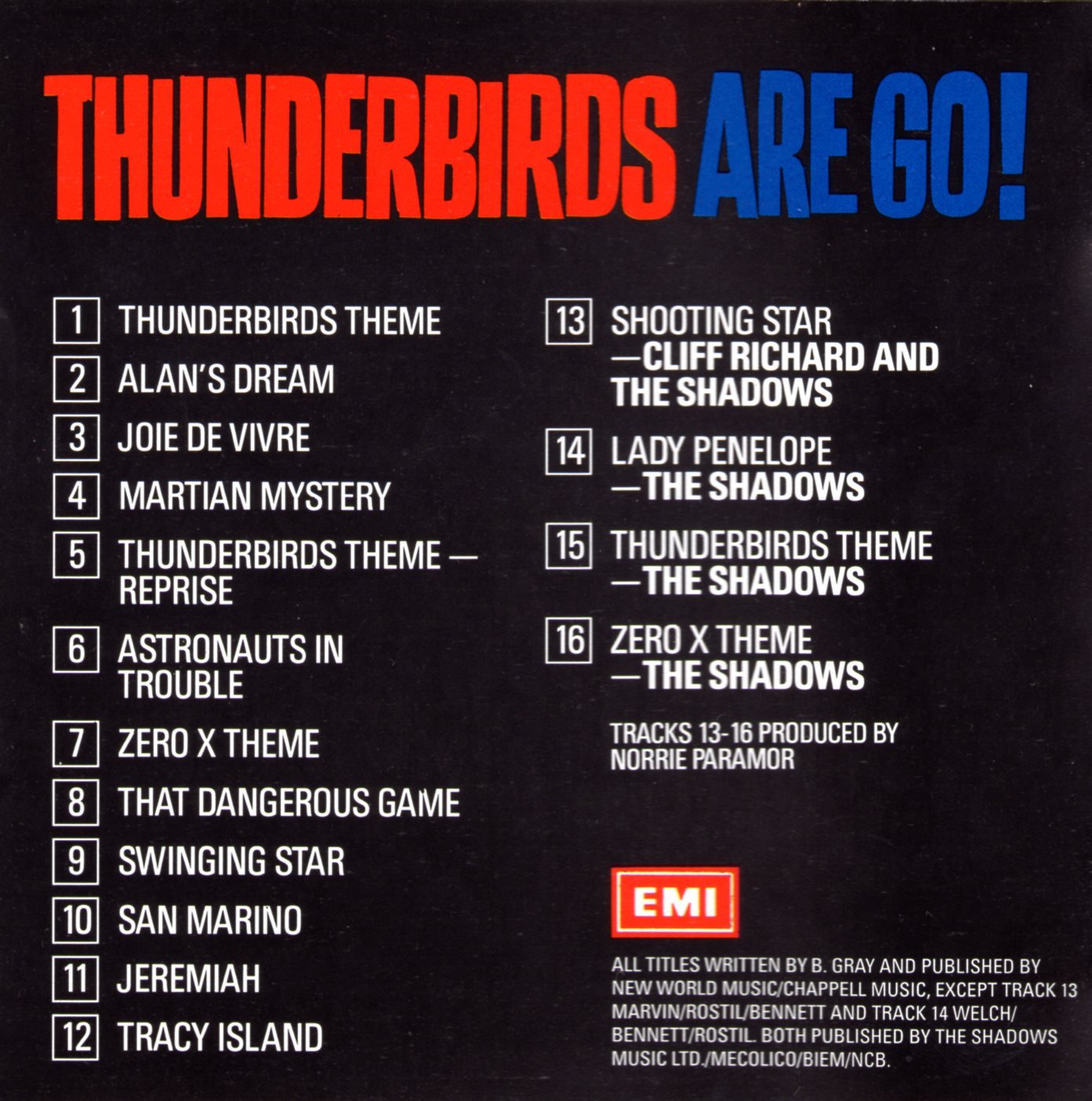 Thunderbirds Go - High-Speed RC Toy Plane for Kids & Adults - Perfect for Outdoor Racing, Backyard Fun & Birthday Gifts