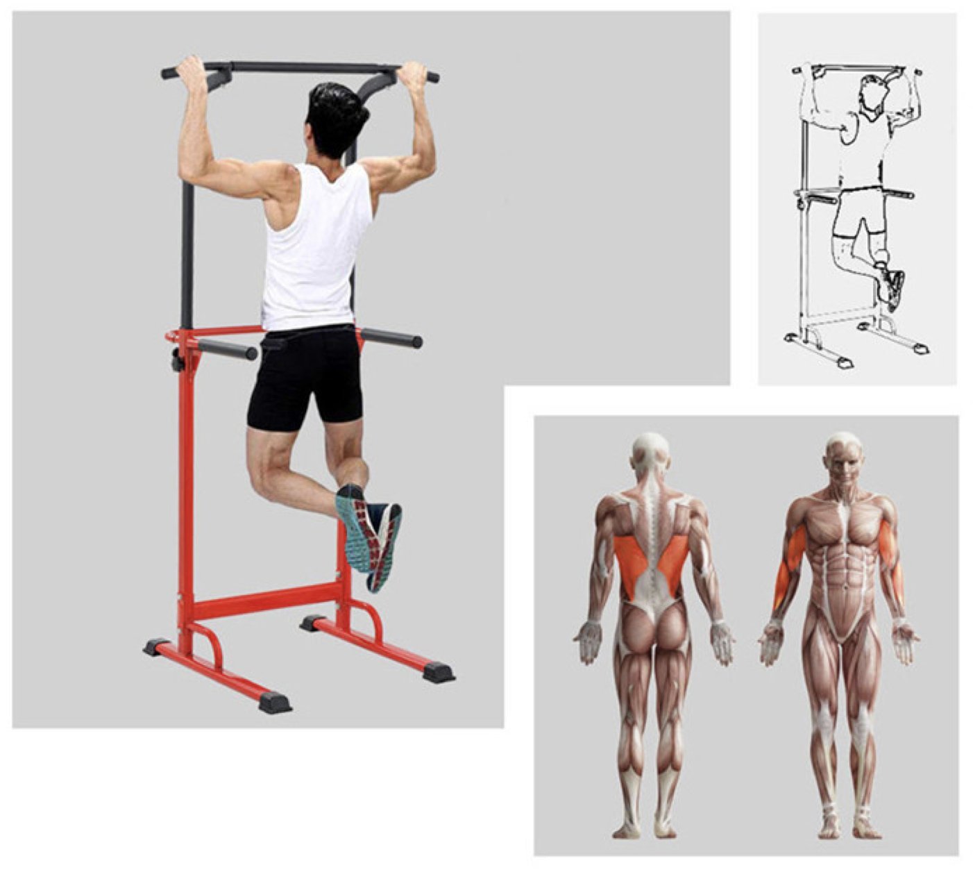Adjustable Pull Up Bar for Home Gym - Fitness Dip Station with Roman Chair - Perfect for Strength Training & Bodyweight Exercises