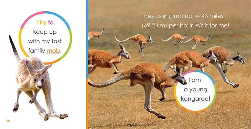 Baby Kangaroos Book - ISBN 978-1-64026-249-2 | Children's Animal Picture Book for Early Learning & Bedtime Stories
