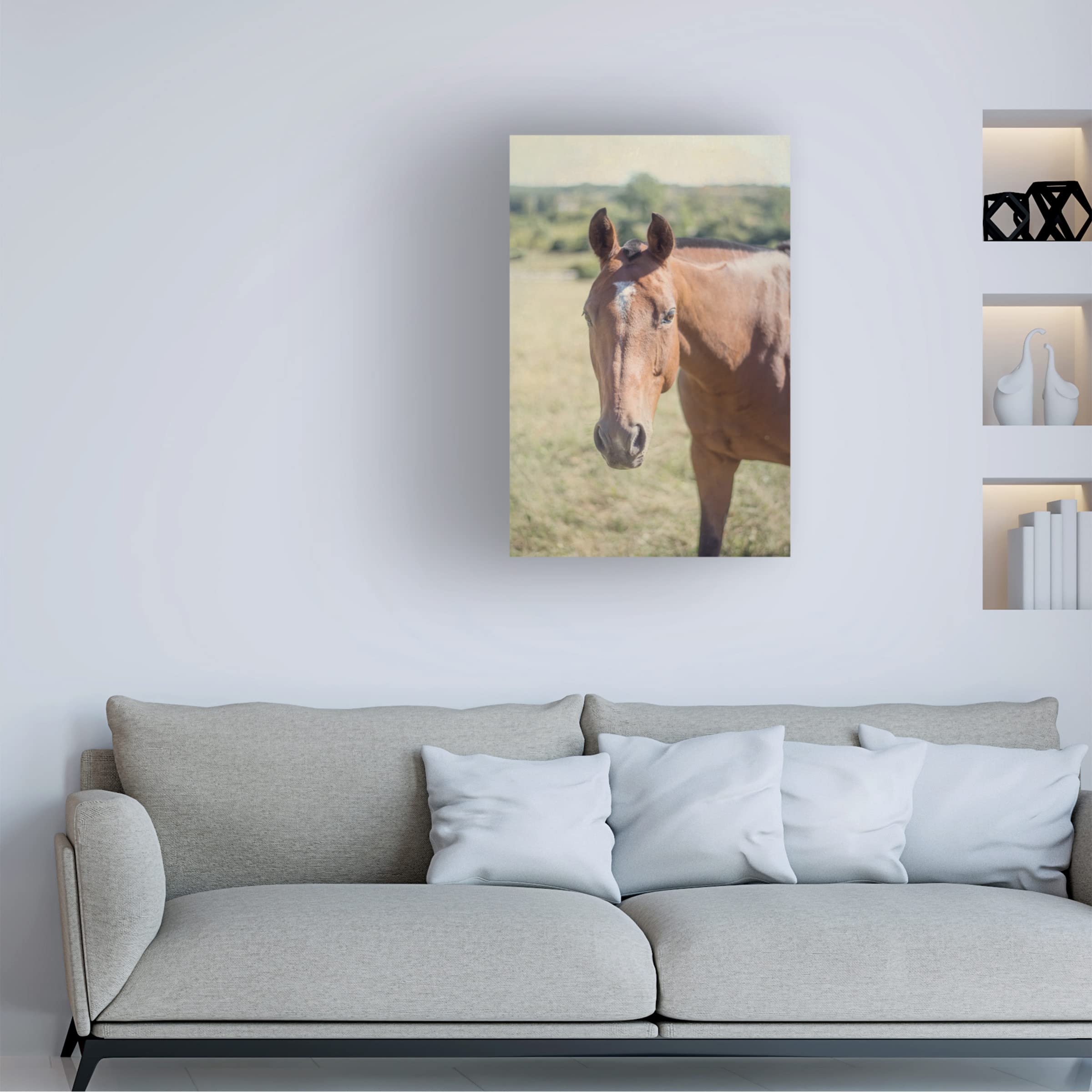 Trademark Fine Art 'Polo Pony II' by Elizabeth Urquhart - Premium Canvas Wall Art for Living Room, Bedroom & Office Decor