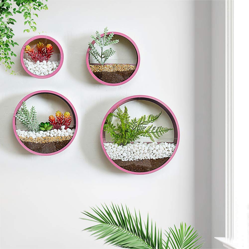 Ecosides 10