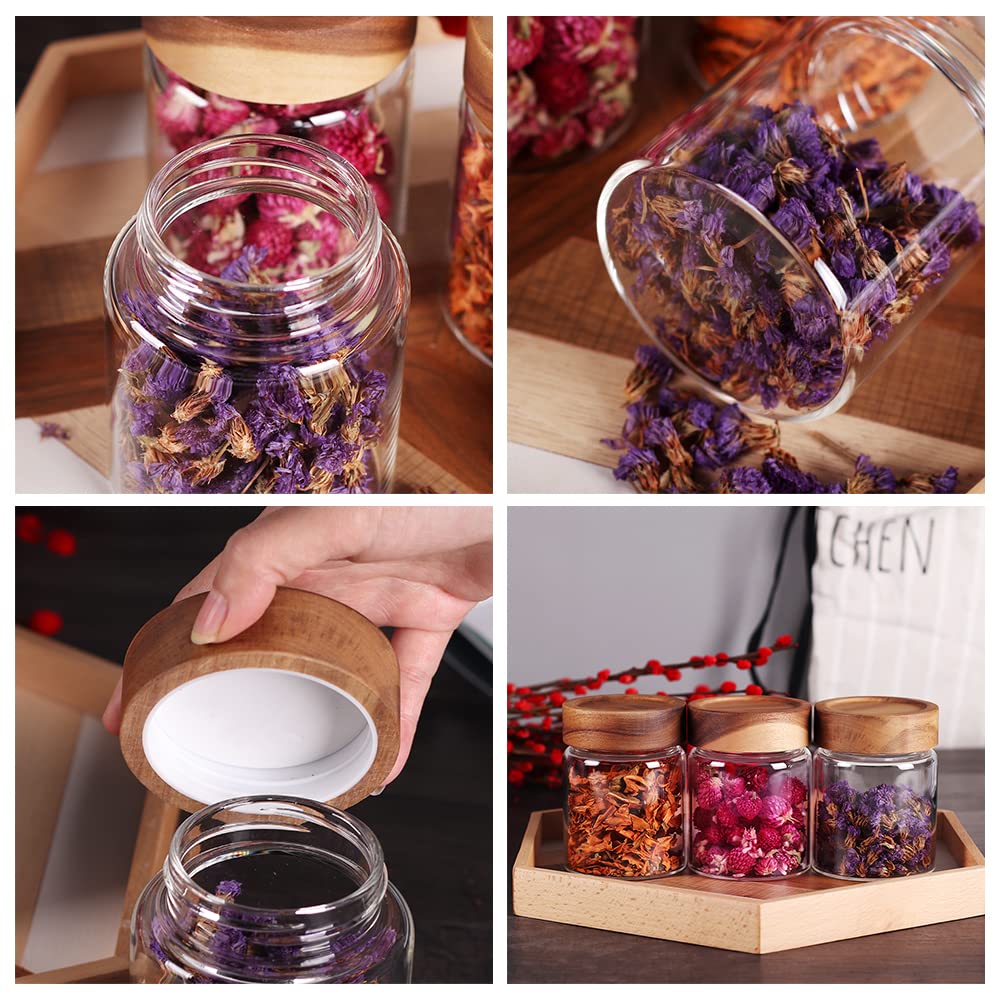 SAIOOL 3-Pack Glass Food Storage Jars with Airtight Screw Seal & Acacia Wood Lids - Spice Jars for Sugar, Salt, Coffee, Cookies & Spices | Kitchen Organization & Travel Containers for Home, Office & Camping