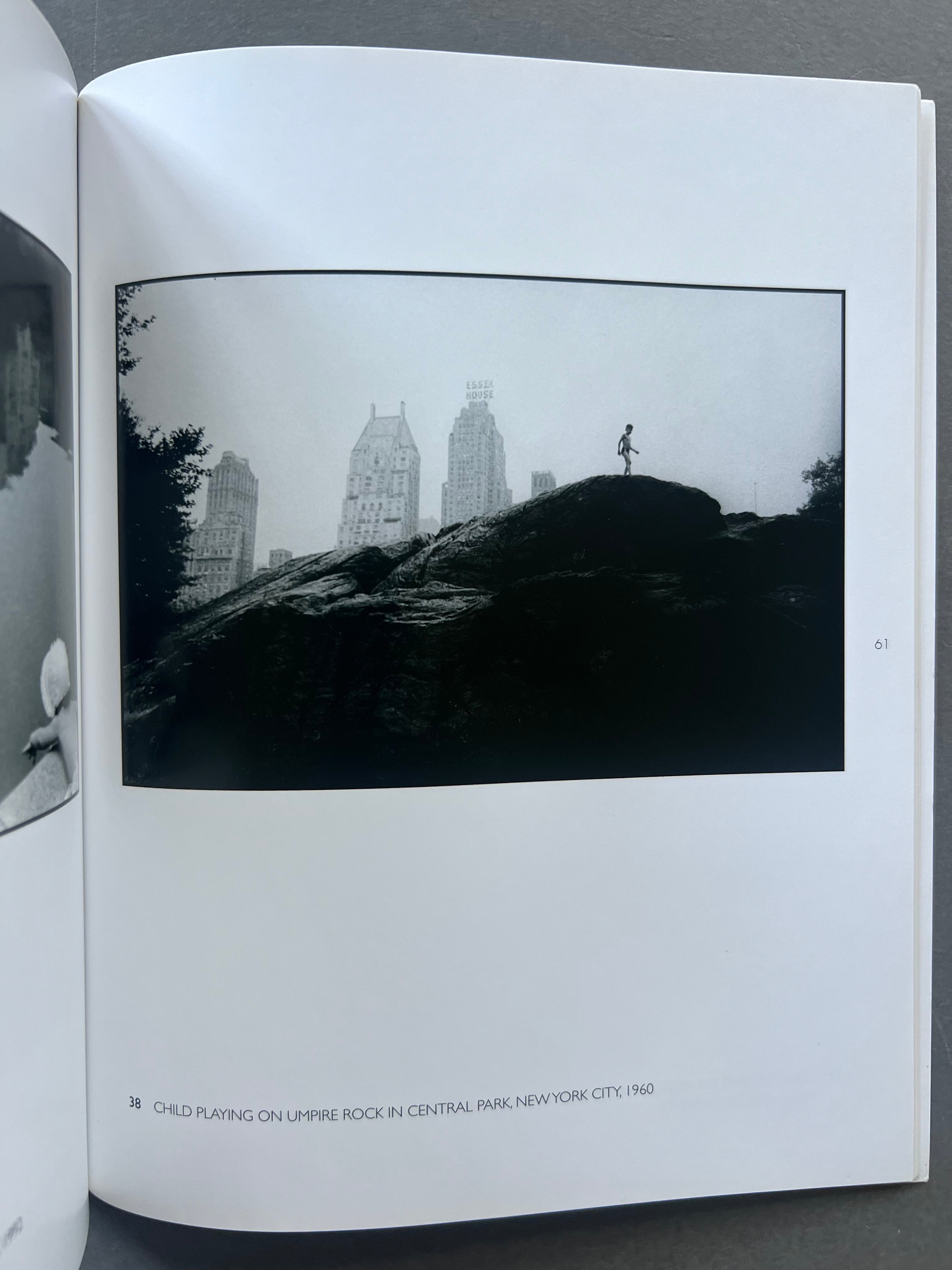 Bruce Davidson & Giles Huxley Parlour - Classic English Literature Books for Collectors | Perfect for Home Libraries, Reading Nooks & Literary Gifts