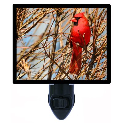 The Cardinal's Glow: A Night Light Story