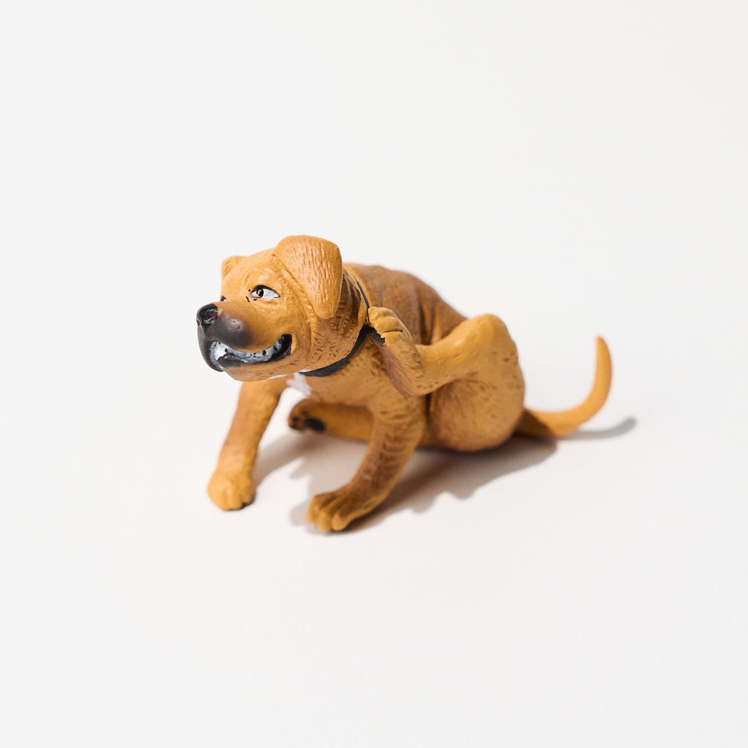 Itchy Dogs Gacha Capsule Toys - Cute Collectible Pet Figures for Dog Lovers - Perfect for Home Decor, Office Display, and Gift Giving