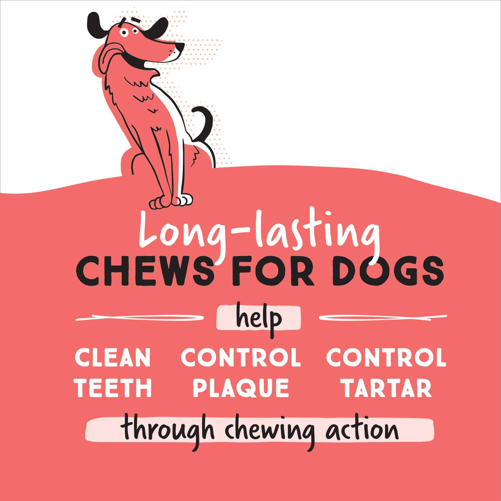 Premium USA-Made Ultra Chewy Liver Double Treat Bones - Long-Lasting, Highly Digestible Dog Treats for Large & Small Breeds - Ideal for Aggressive Chewers (12 Count) - Perfect for Training Rewards & Dental Health