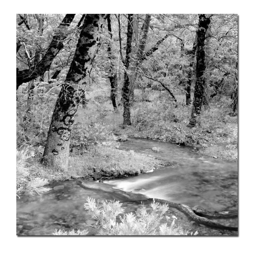 Preston Yosemite National Park Canvas Wall Art - 14x14 Inch Stretched Framed Print - Nature Landscape Decor for Living Room, Bedroom & Office