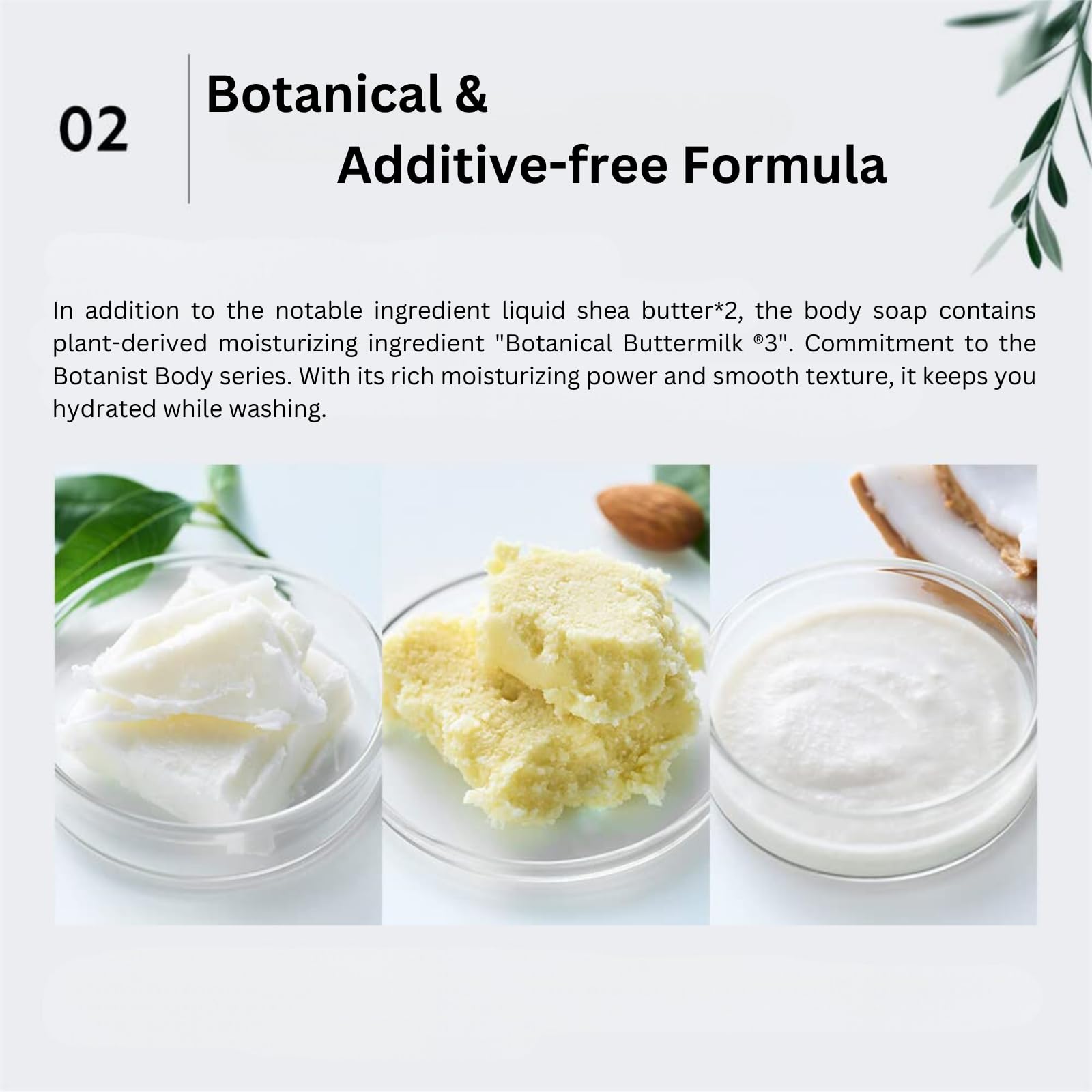 Botanist Deep Moisturizing Body Wash for Dry Skin - Shea Butter & Water Lily Raspberry Scent - Sulfate, Paraben & Dye Free - Gentle Foaming Soap for Family Use - 15.2 fl Oz (Pack of 2) - Perfect for Daily Shower & Sensitive Skin Care