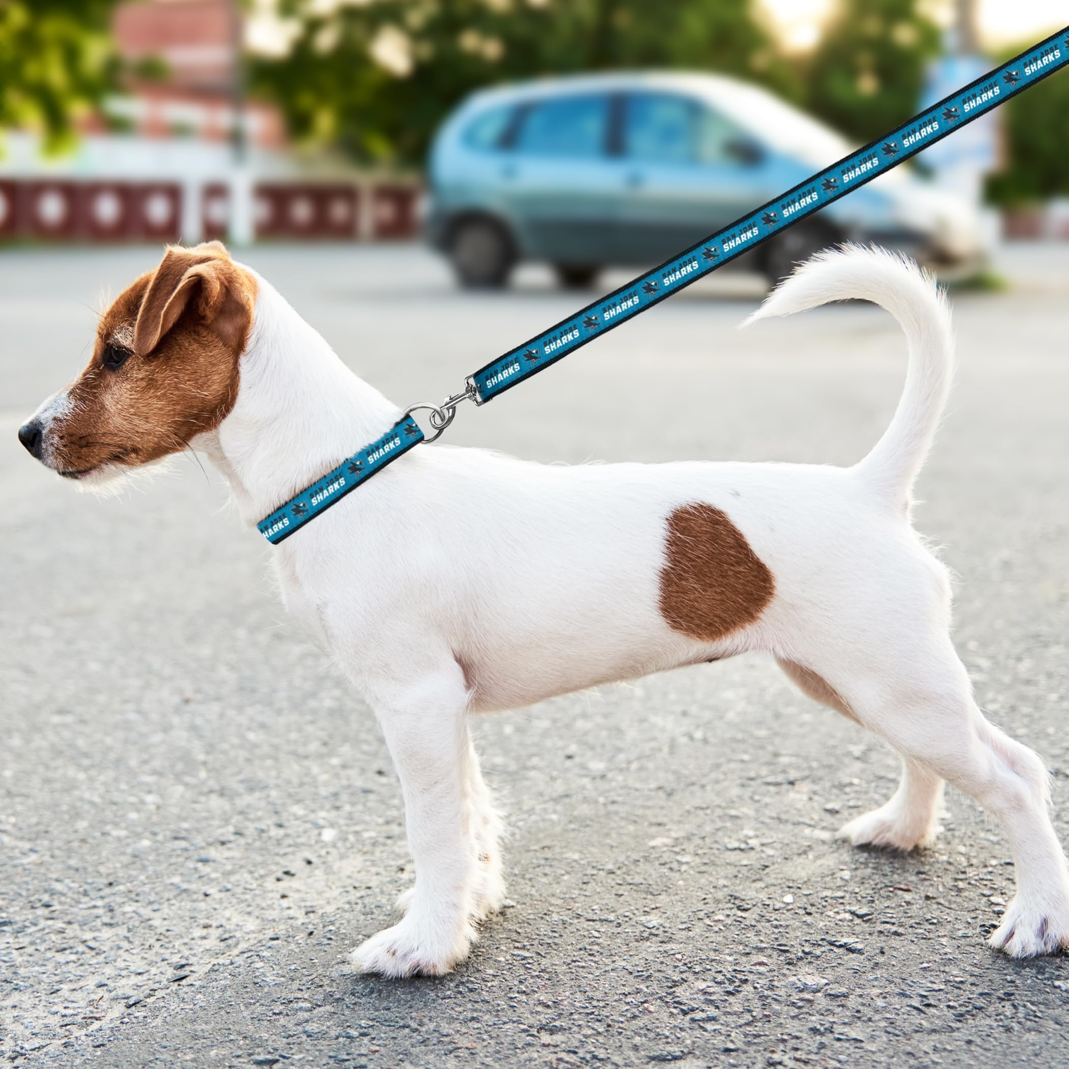 San Jose Sharks NHL Pet Leash for Dogs & Cats - 6ft Hockey Fan Dog Leash with 1-Inch Width (Large, SJS-3031-LG) - Perfect for Game Day Walks & Hockey-Themed Outings