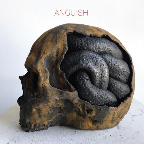 Anguish Vinyl LP - Limited Edition Record for Collectors & Music Lovers | Perfect for Home Listening & Gifts