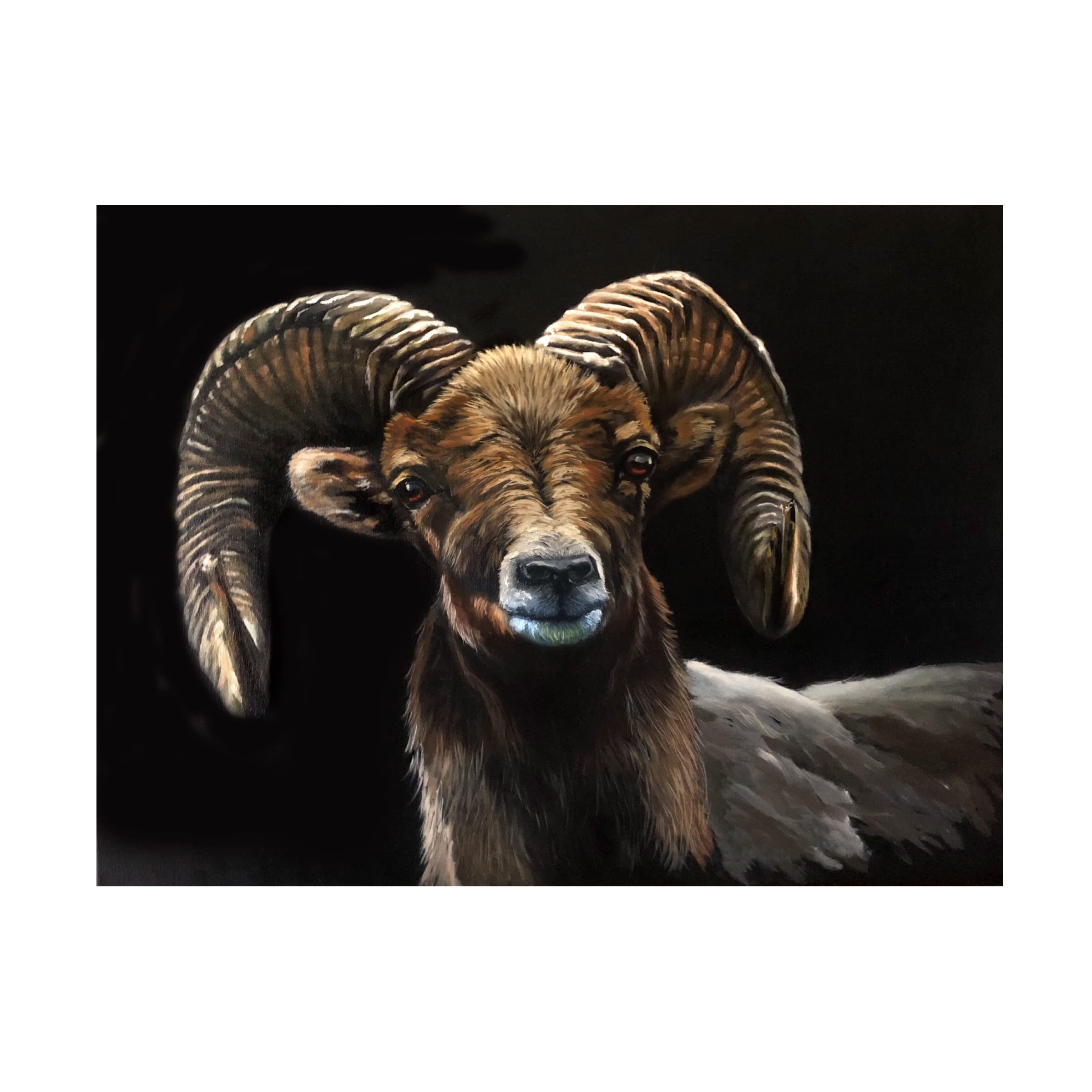 Trademark Fine Art 'Ram' Canvas Wall Art by Eileen Herb-Witte - Modern Home Decor for Living Room, Bedroom & Office