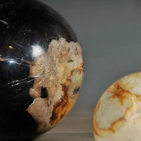 Natural Petrified Wood Spheres - Unique Home Decor & Healing Crystals for Meditation, Feng Shui, and Office Desk Display