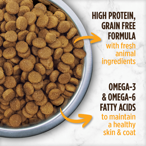 Nutrience Grain Free Turkey, Chicken & Herring Dry Dog Food - 10kg (22 lbs) Premium High Protein Recipe for Adult Dogs - Perfect for Sensitive Stomachs & Active Pets