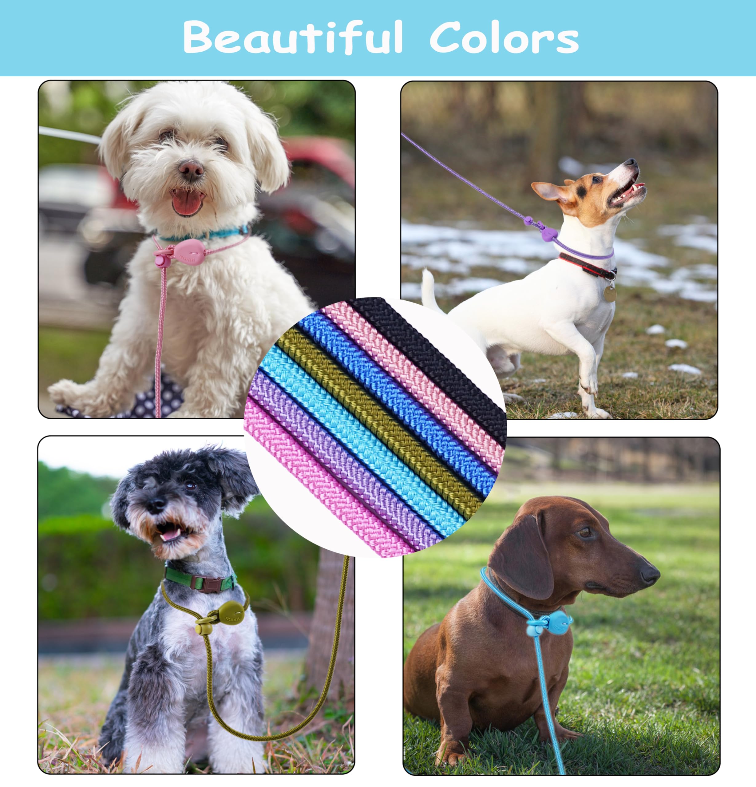 6FT No Pull Slip Lead Dog Leash - Lightweight Training Leash for Small & Medium Dogs | Adjustable Slip Collar for Walking, Training & Outdoor Activities (Purple)