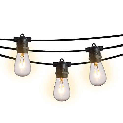 Shatterproof LED Bulbs 1-Watt - Black Cord