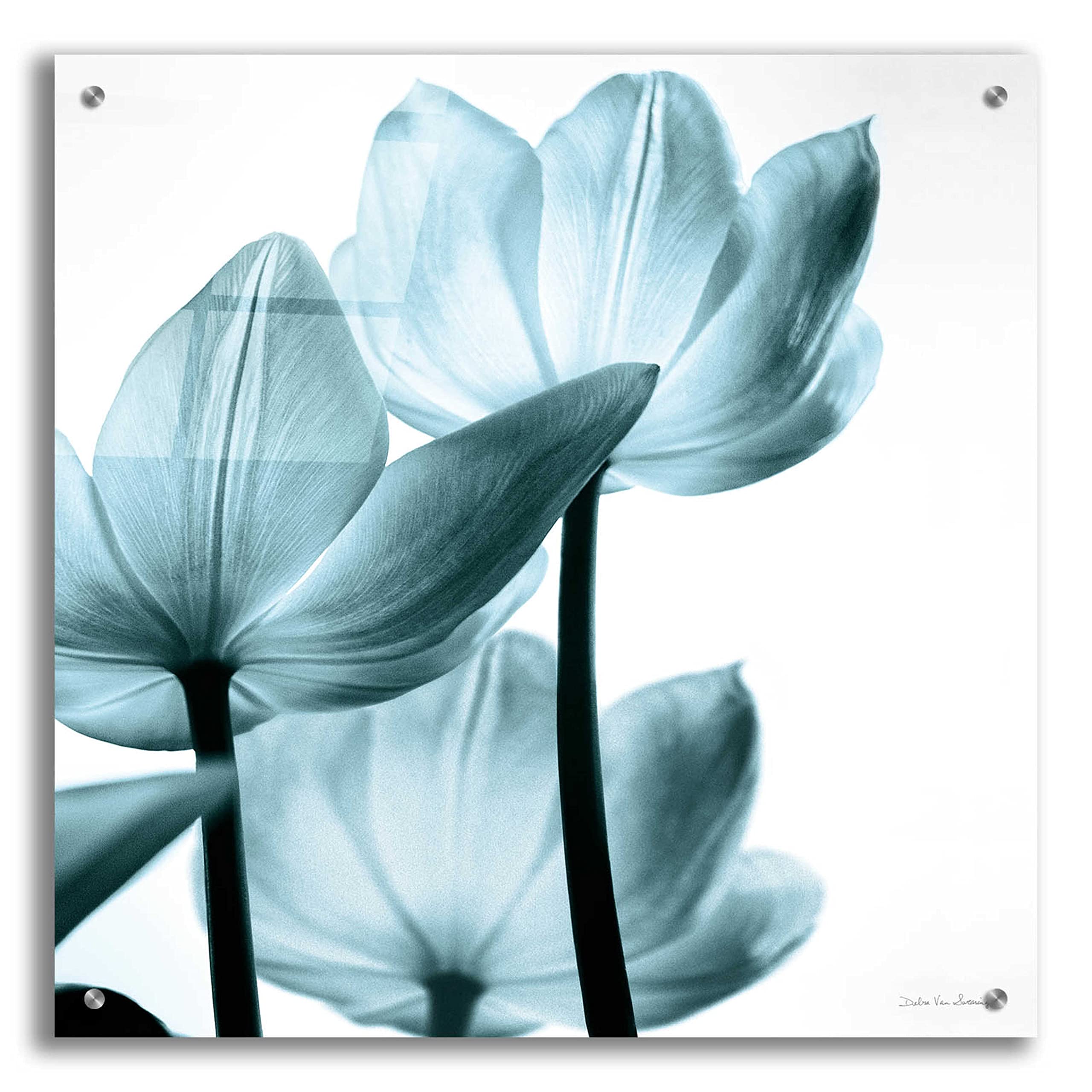 Debra Van Swearingen Translucent Tulips III Aqua Acrylic Glass Wall Art - 24x24 Inch Modern Abstract Floral Painting for Living Room, Bedroom & Office Decor