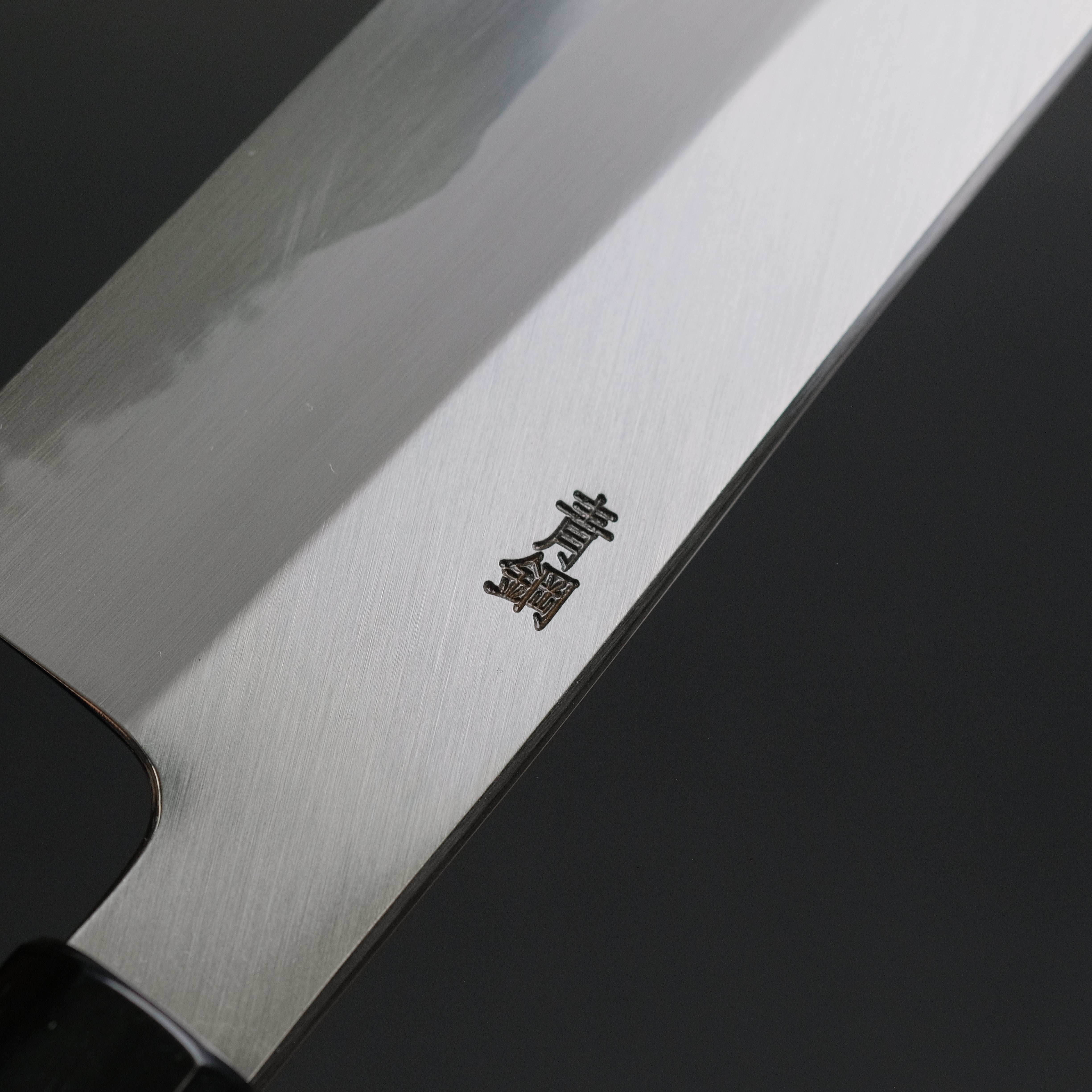 Hitohira Kikuchiyo Ren Blue #2 Gyuto 240mm Japanese Chef Knife with Ho Wood Handle - Perfect for Sushi, Meat Slicing & Professional Kitchen Use