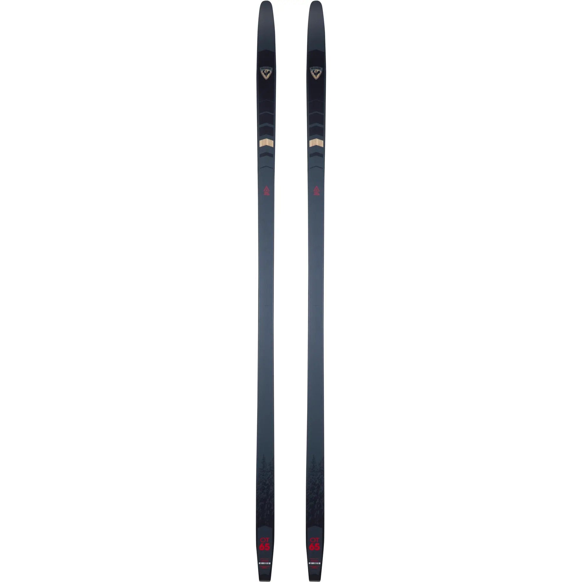 Rossignol 2023 EVO OT 65 POSITRACK Skis - All-Mountain Performance Skis for Men & Women | Perfect for Powder, Groomers & Freeride Skiing
