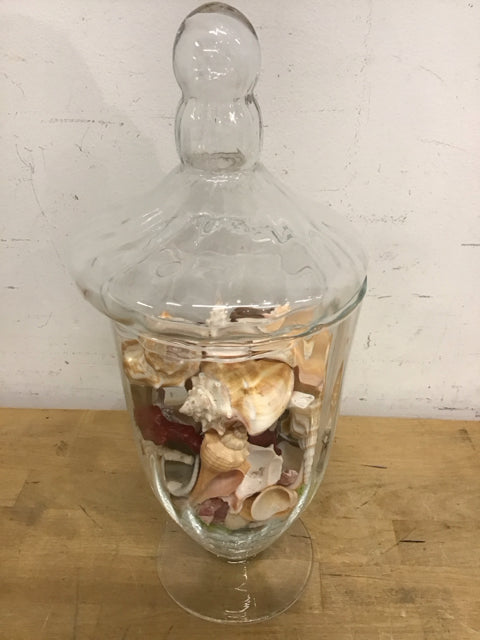 14.5 oz Clear Glass Jar with Seashells - Perfect for DIY Crafts, Wedding Favors, Beach Themed Decor, and Home Storage