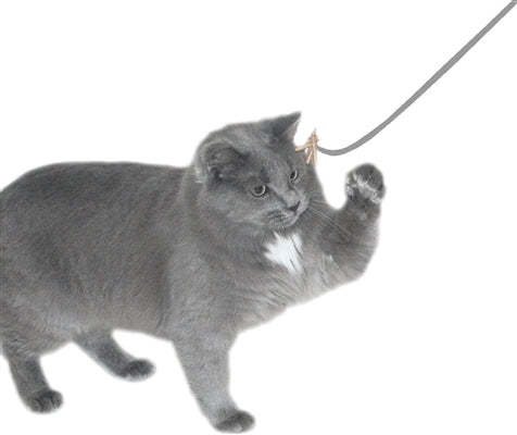 Original Cat Dancer Interactive Cat Toy - Single Wire Teaser Wand for Indoor Cats - Perfect for Playtime, Exercise & Bonding with Your Feline Friend