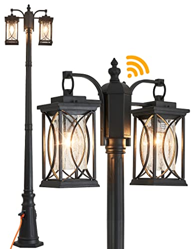 2-Head Pole Light