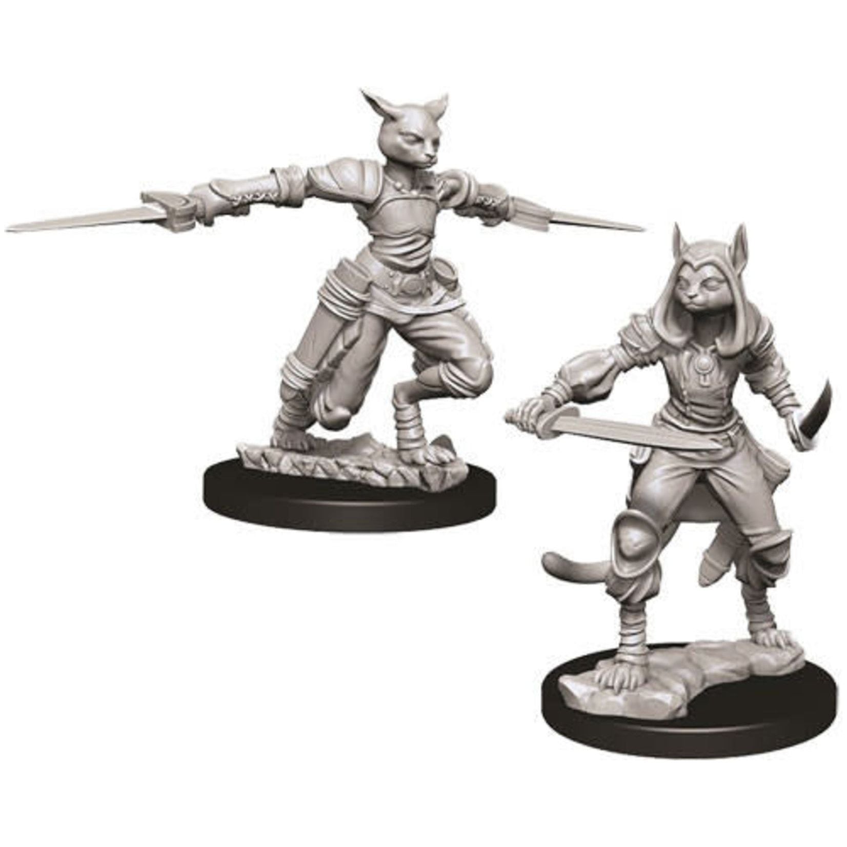 D&D Miniatures - Nolzur's Marvelous Miniatures: Tabaxi Female Rogue Figure for Dungeons & Dragons RPG Game | Perfect for Tabletop Gaming, D&D Campaigns & Collector Displays