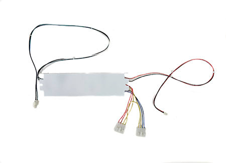 Del Ozone Ballast R0991700 - High-Performance Ozone Generator Replacement Part for Pools & Spas | Perfect for Water Purification & Maintenance