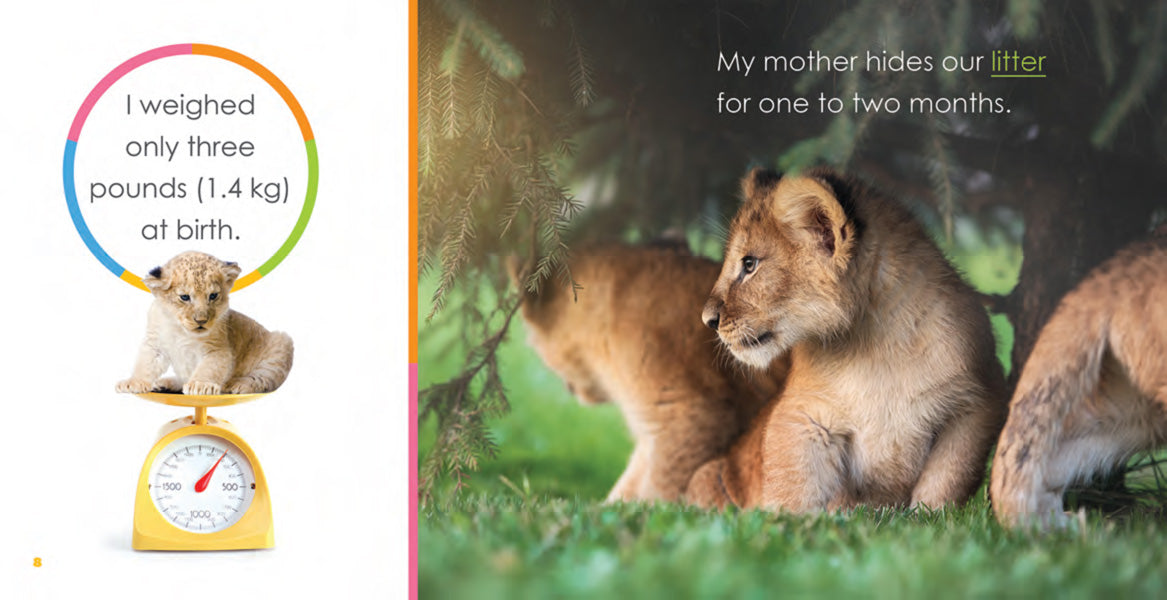 Baby Lions Book - ISBN 9781640260764 - Perfect for Kids' Bedtime Stories & Early Learning
